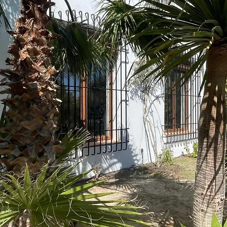 La Washingtonia *