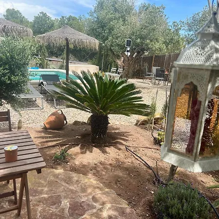 Apartment La Washingtonia Las Negras