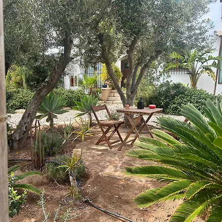 La Washingtonia Apartment *