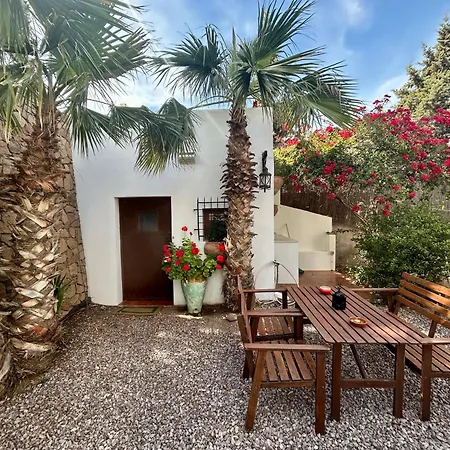 Apartment La Washingtonia *
