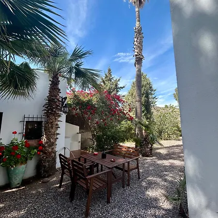 La Washingtonia Apartment Las Negras