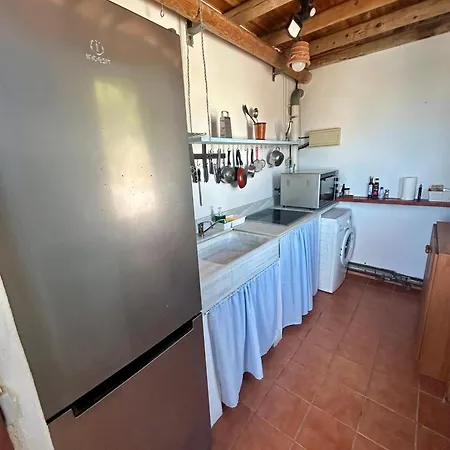 Apartment La Washingtonia *