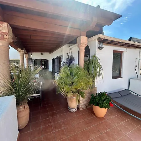 Apartment La Washingtonia